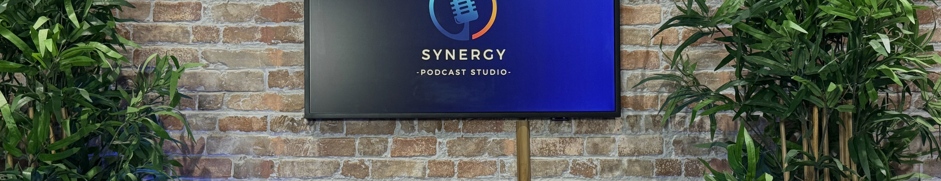 Studio Day Pass